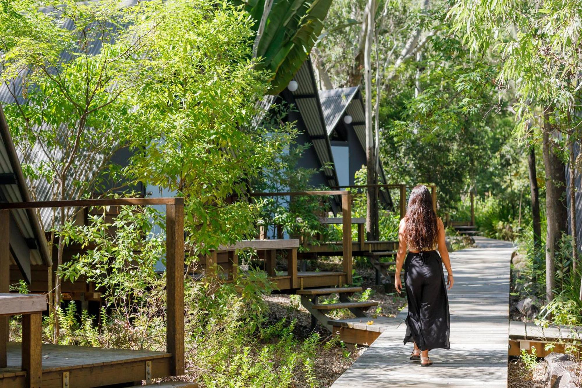 Selina Magnetic Island Hostel Horseshoe Bay Ruang foto